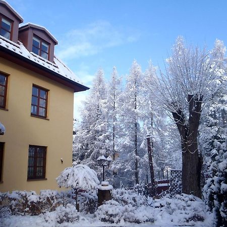 Villa Gorczanska Rabka-Zdrój Dış mekan fotoğraf