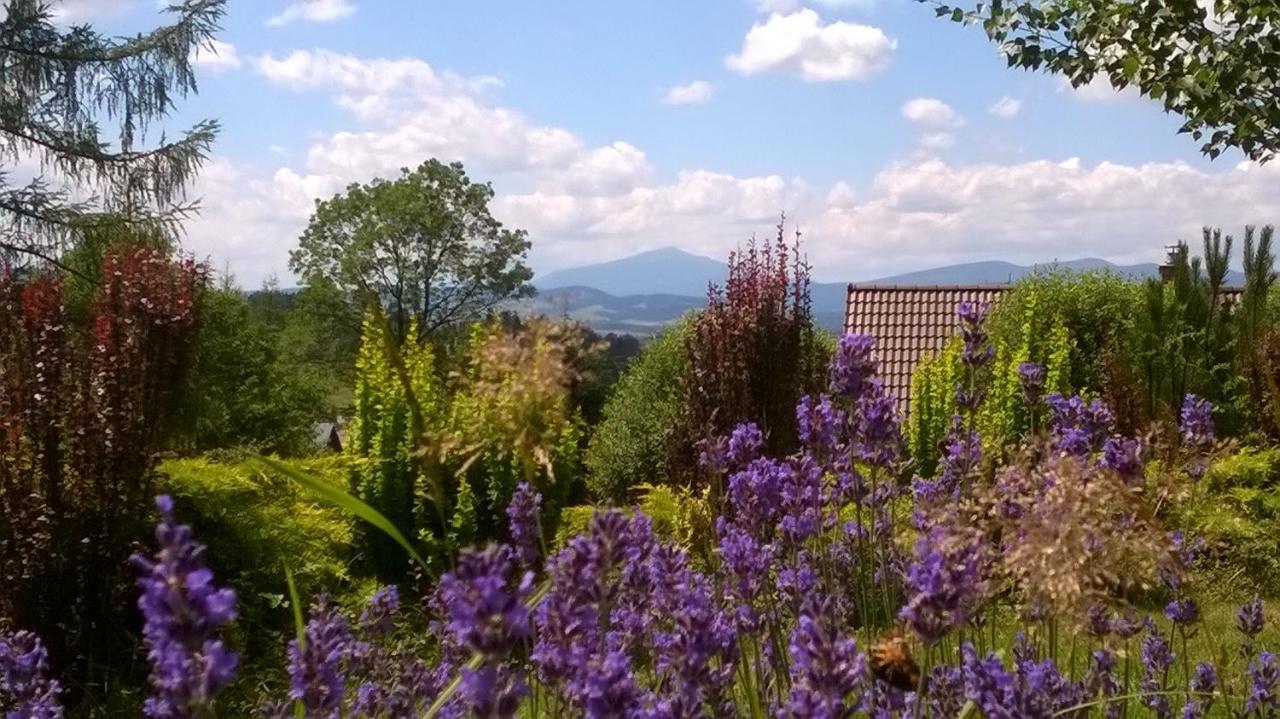 Villa Gorczanska Rabka-Zdrój Dış mekan fotoğraf